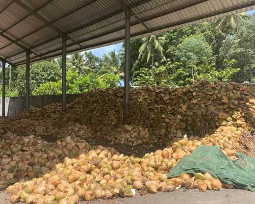 our-coconut-warehouse-in-lombok.jpg